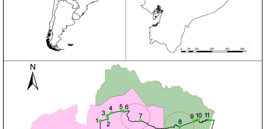 Figure 1. Yasuní Biosphere Reserve and Zona Intangible Tagaeri Taromenane (ZITT): geographical framework. show more  A) Delimitation of the Zona Intangible by given geographical coordinates and critical hotspots (red circles);