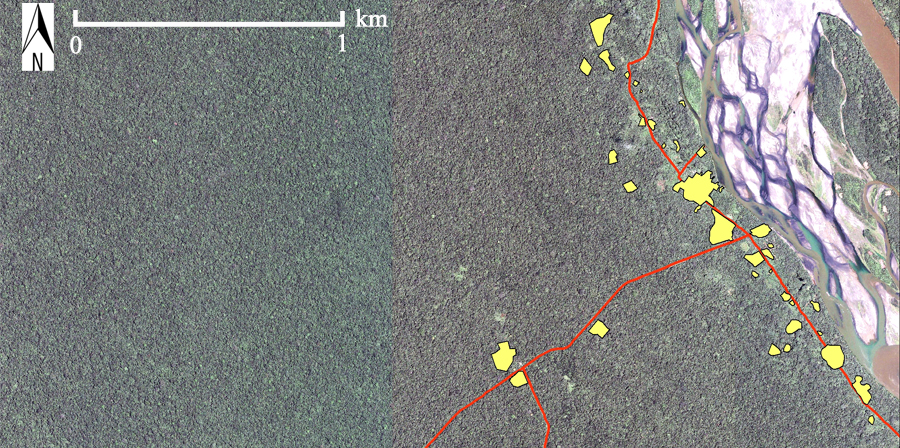 Via OXY (El Eden Yuturi, Bloque 12, Petroamazonas). Pappalardo SE, (2009), Conservazione della Biodiversità e Conflitti Ambientali nella Regione Amazzonica Ecuadoriana: il caso della Riserva della Biosfera Yasuni, Tesi di Laurea, Università di Padova