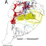 Relacion entre la "Zona Intervenida" y la densidad de los pozos a nivel de Region Amazonica Ecuatoriana