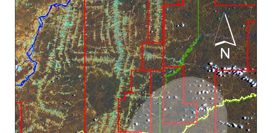 Land cover map (Landsat ETM+, 2002) of the Via Auca territory and anthropic pressures on the Zona Intangible and the uncontacted indigenous group. Deforestation processes developed by road systems around the Via Auca main axis, African Palm cultivations (yellow areas at the north sector), Zona Intangible Tagaeri Taromenane, Armadillo uncontacted clan and oil blocks.