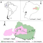 Figure 1. Yasuní Biosphere Reserve and Zona Intangible Tagaeri Taromenane (ZITT): geographical framework. show more  A) Delimitation of the Zona Intangible by given geographical coordinates and critical hotspots (red circles);