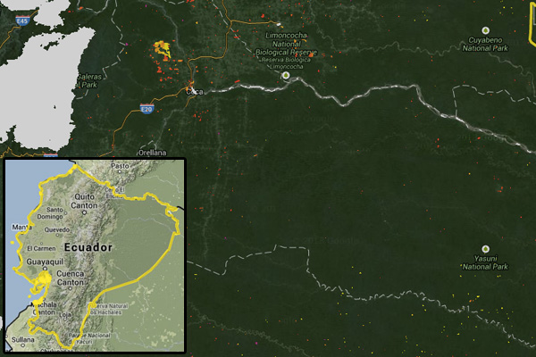 Reciente deforestacion en el Oriente Amazonico Ecuatoriano (pixel amarillo, naranja y rojo). courtesy of Terra-i.